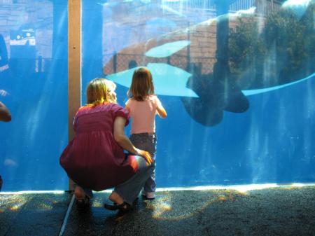 Lexy meets Orca 2008