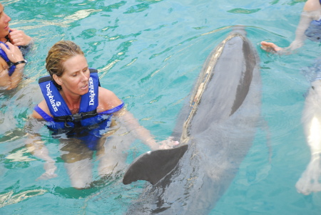 swimming with the dolphins