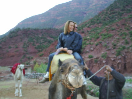 Camel riding in the Atlas Mtns in Merakesh