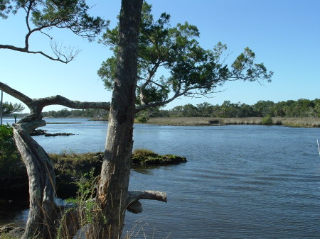 homosassa river