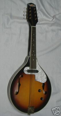 Fender electric mandolin