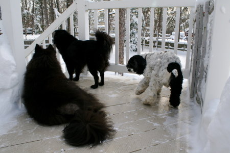 Checking out the snow