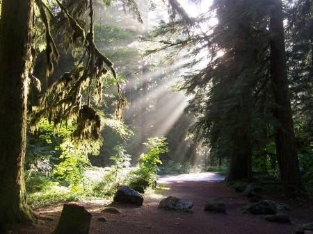 Camp Creek campground in the afternoon.