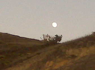 Moon rising 9-26-09