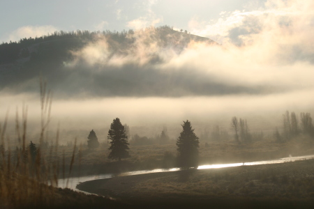 Morning Haze near Moran Junction