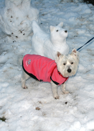 Maggie's snowdog
