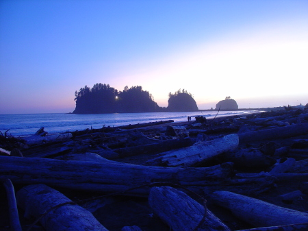 Twilight Movie Tour-LaPush Beach