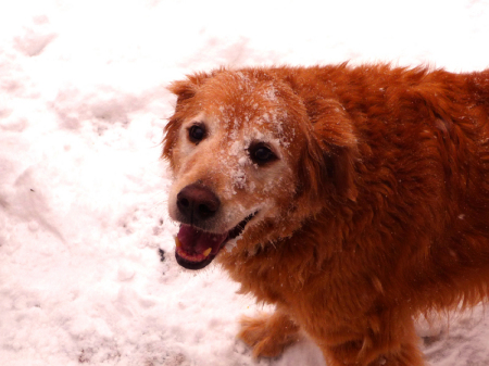 Smiling Clancy