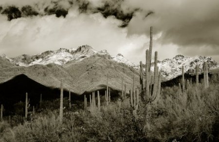 Sabino Snow