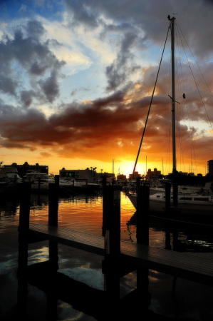 Marina Jacks - Sarasota, FL