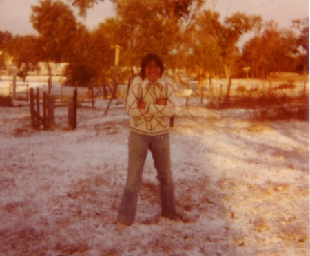 '77 when it snowed (Lithia Pinecrest Rd)