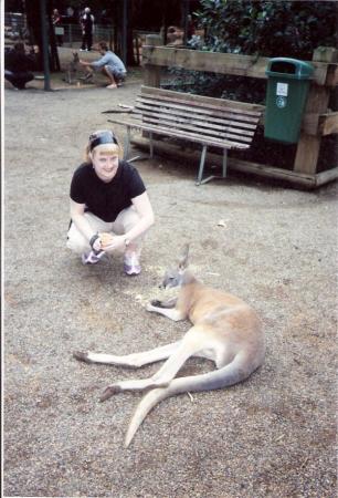 Hangin with the kangaroos in Australia