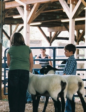 2007 County Fair