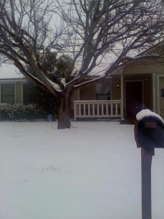 snow in tx