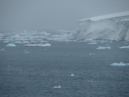 Icebergs in Antarctica