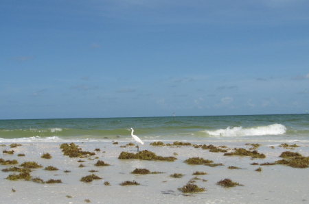 My beach after a stormy night