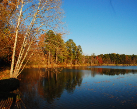 Local lake in autumn