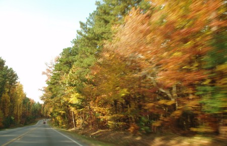 North Carolina Early Fall