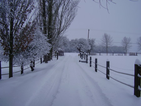 Snow storm Dec 2008