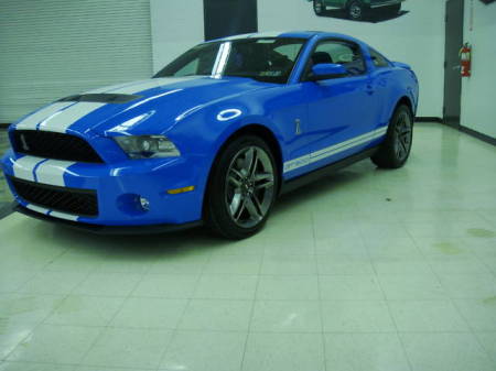 2011 Shelby GT500