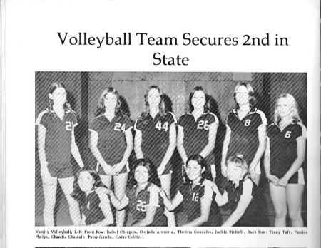 Ray High Volleyball Team 1975