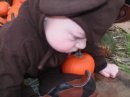 Jadon in the Pumpkin Patch