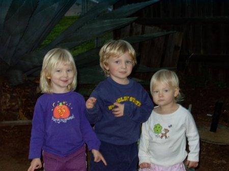 Grandkids Leila, 4, Eddie 5, Charlotte 2 1/2