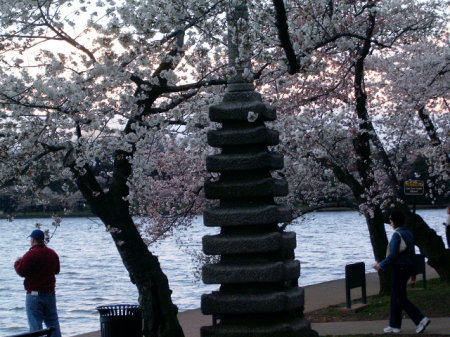 Another shot of the pagoda