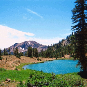 Emerald Lake(Jarbidge Wilderness)