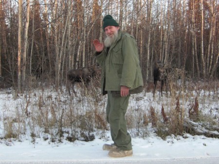 Alaskan Cow Moose & calf