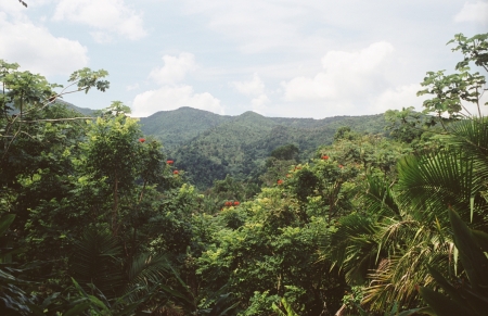 El Yunke in Puerto Rico