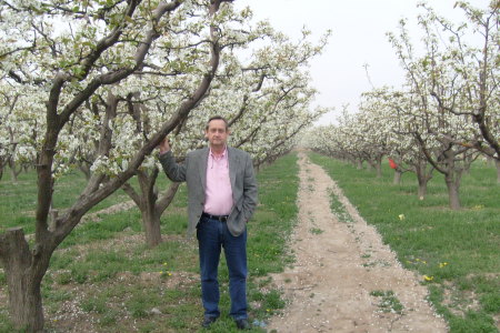 Zixin - orchard 1