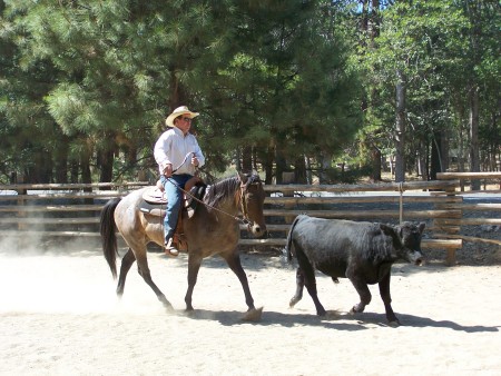 Sam working a cow on Scooter