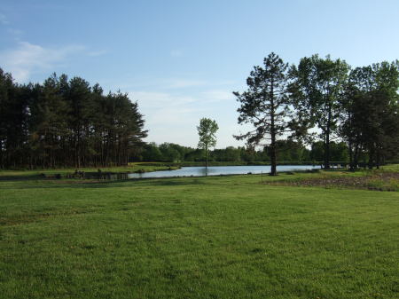 Our pond - down on the farm