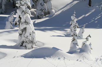 Mt. Rainier in January