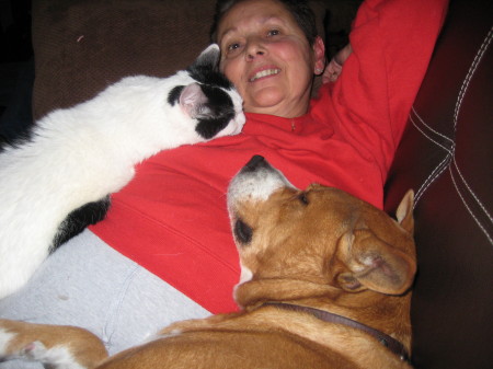 Gail, Jade (cat)  Bear ( dog)  napping