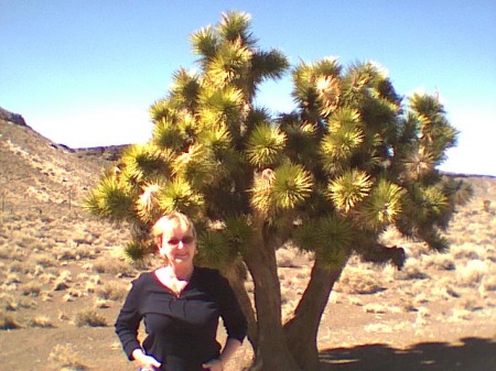 Mary beside a Joshua Tree in Nevada