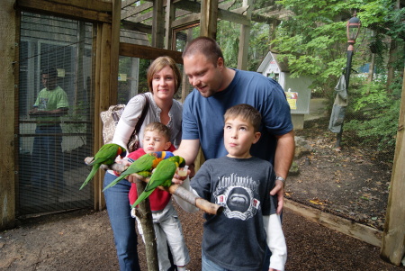 Parrot Mountain 2009