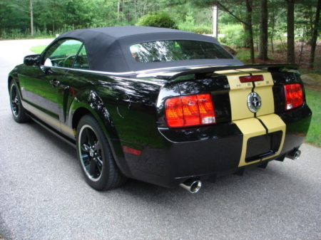 2007 Shelby GTH Convertible Photo 3