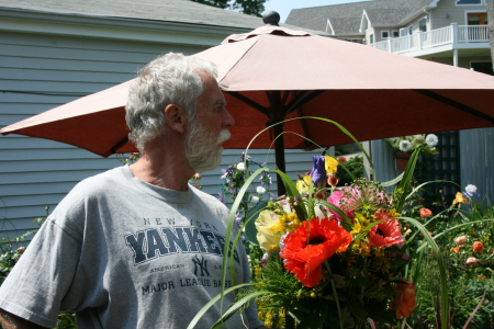 Flowers from my garden