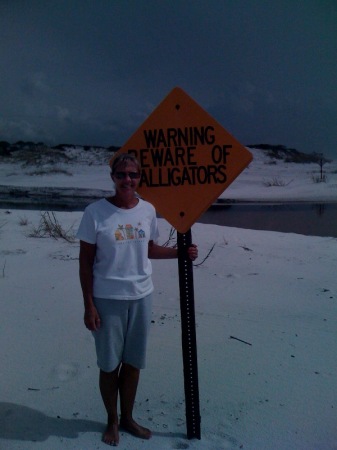 Hanging out with the alligators in Destin, Fl
