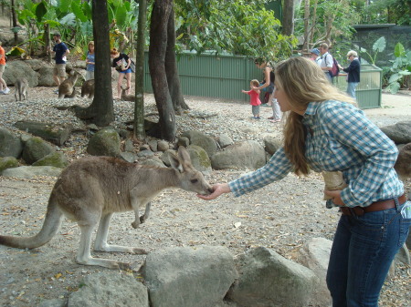 Jules Feeding the Kangaroos