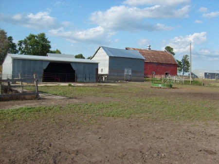 The farm 028