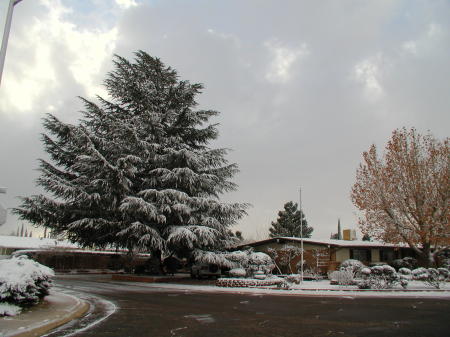 Winter, 2006