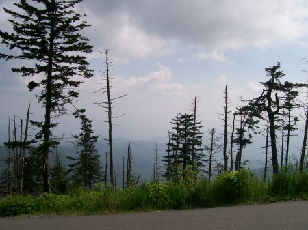 Smoky Mountains 6/2008