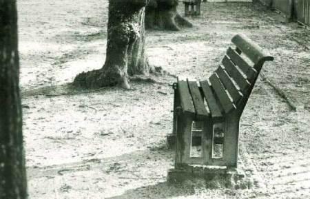 bench