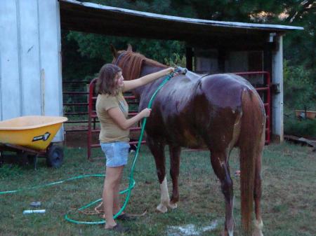 Marilyn washing her horse Tucker