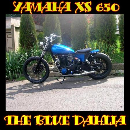 THE BLUE DAHLIA