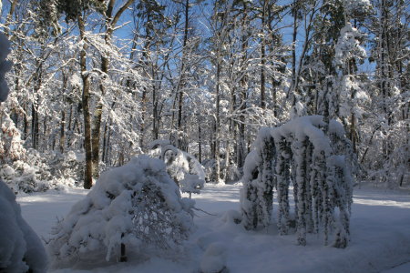 February Storm