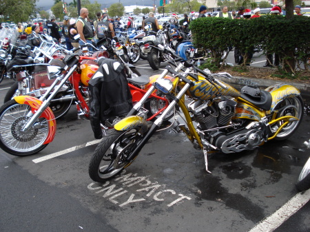 A few of at least 500 hundred bikes